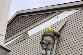 Siding Removal and Disposal in Mason, MI